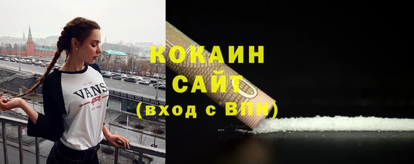 тгк Алексин